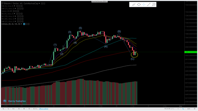 bitcoin 1h elliot cycle and botts.png