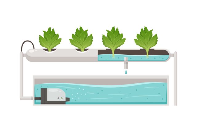 1906.i203.008.p.m004.c23.greenhouse vertical farming hydroponics aeroponics cartoon set-17.jpg