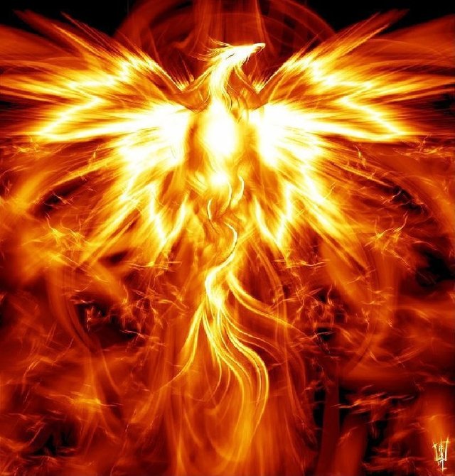 phoenix-rising-from-the-ashes.jpeg