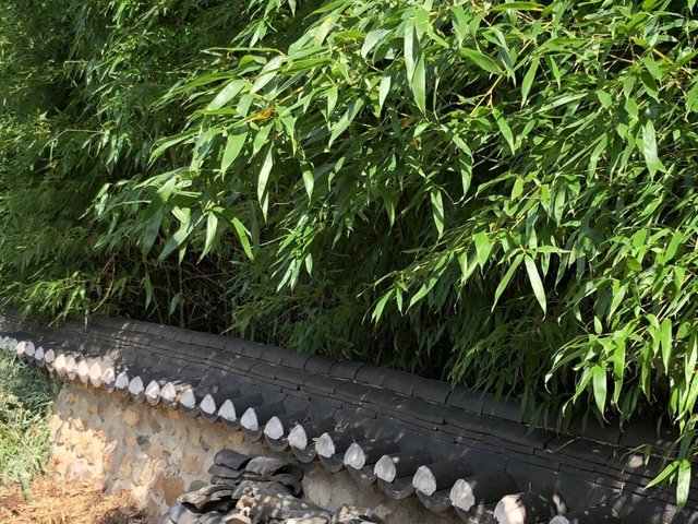 KakaoTalk_20181004_162356615.jpg