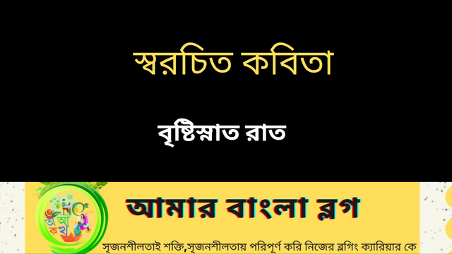 স্বরচিত কবিতা_20250227_200440_0000.png