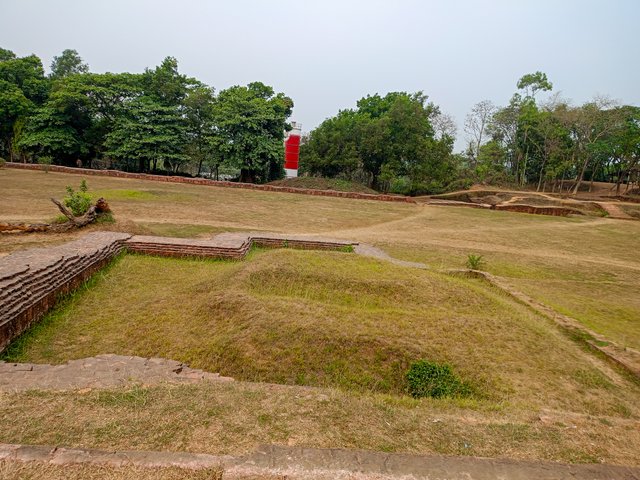 IMG20250404101403.jpg