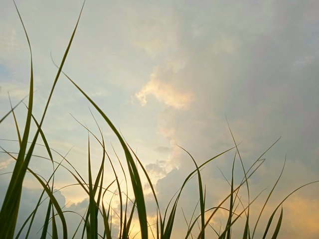 IMG-20250913-WA0179.jpg