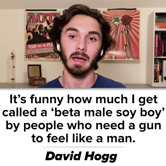 hogg1.png