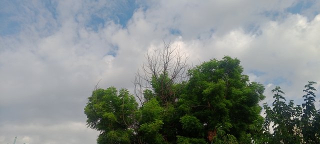 IMG_20250830_165739_744.jpg