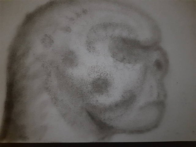 20250725_101615.jpg