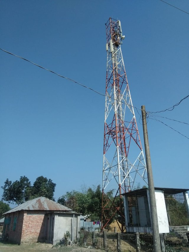 1000044034.jpg