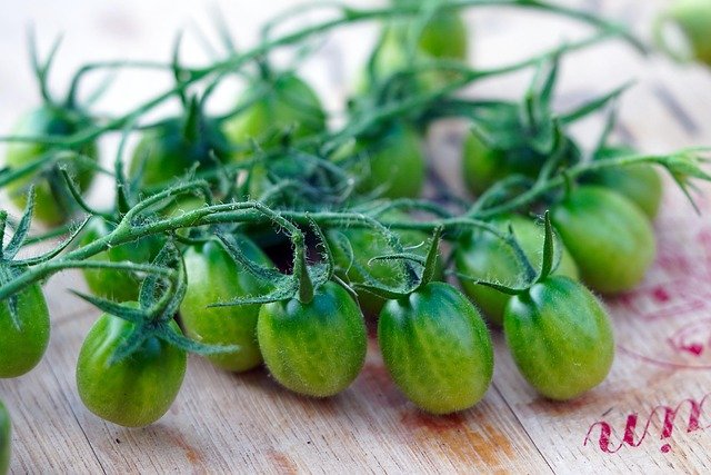tomatoes-6576340_640.jpg