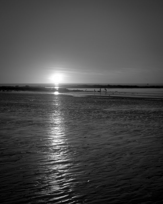 20250715_172646.jpg