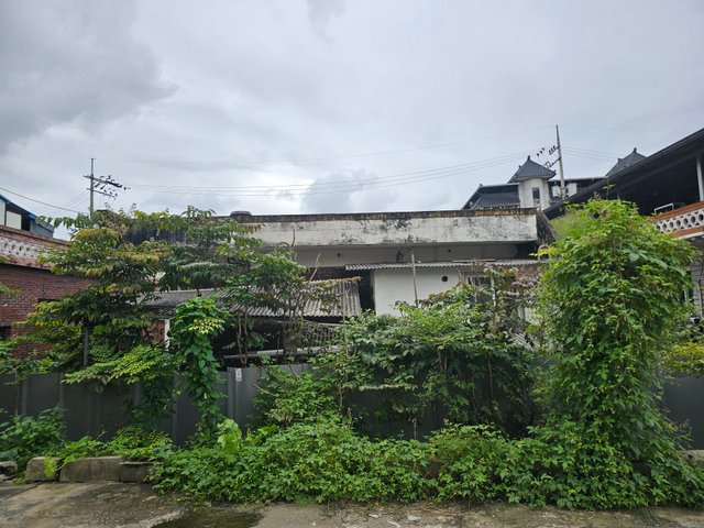 20250920_153818.jpg