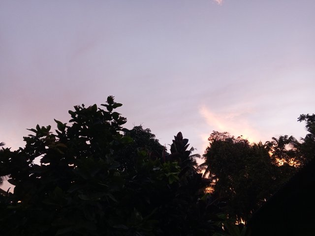 IMG_20250430_184320_954.jpg