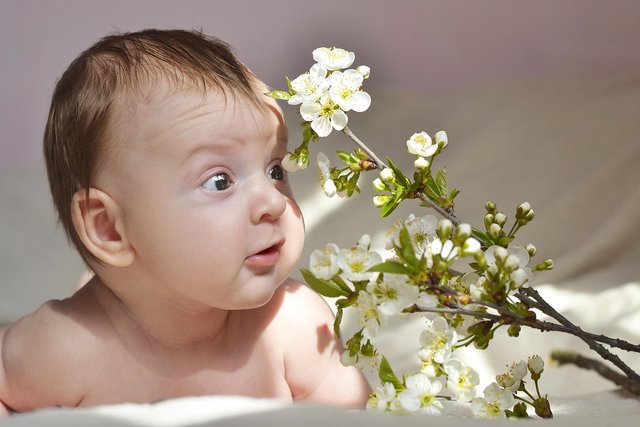kids-1636305_1280.jpg