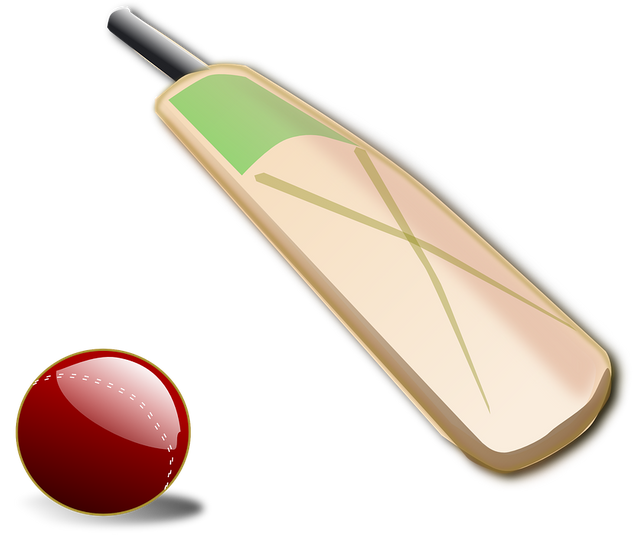 cricket-150560_960_720.png