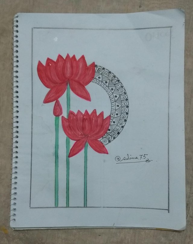 a9.jpg