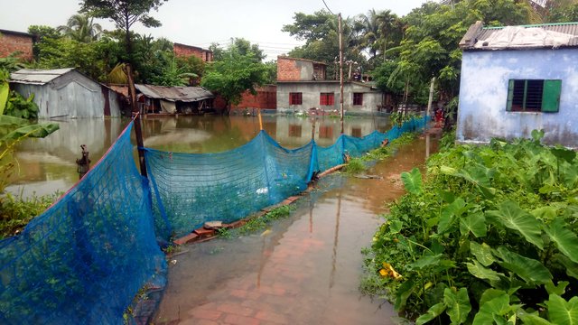 My Road Beside Ghare.jpg