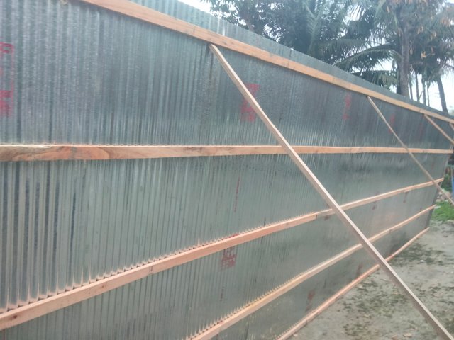 IMG20250228174923.jpg