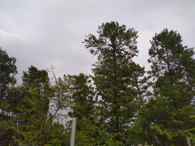 IMG20230424172421.jpg