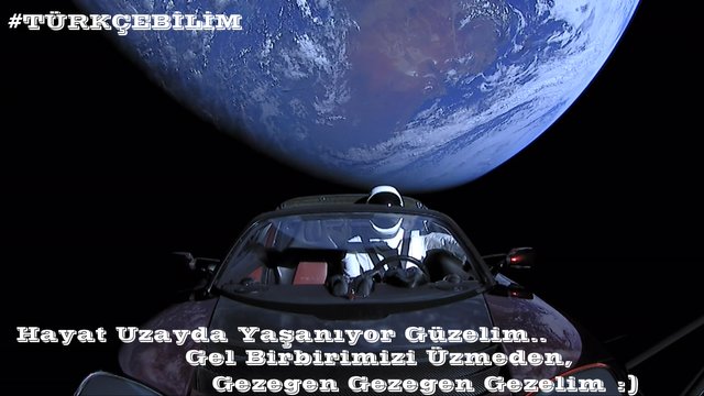 Elon_Musk27s_Tesla_Roadster_284011029785229.jpg