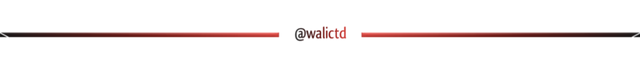 logowalictd.png