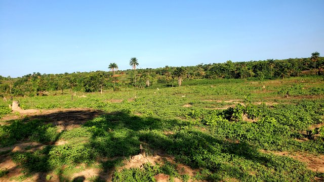 20250608_170335.jpg