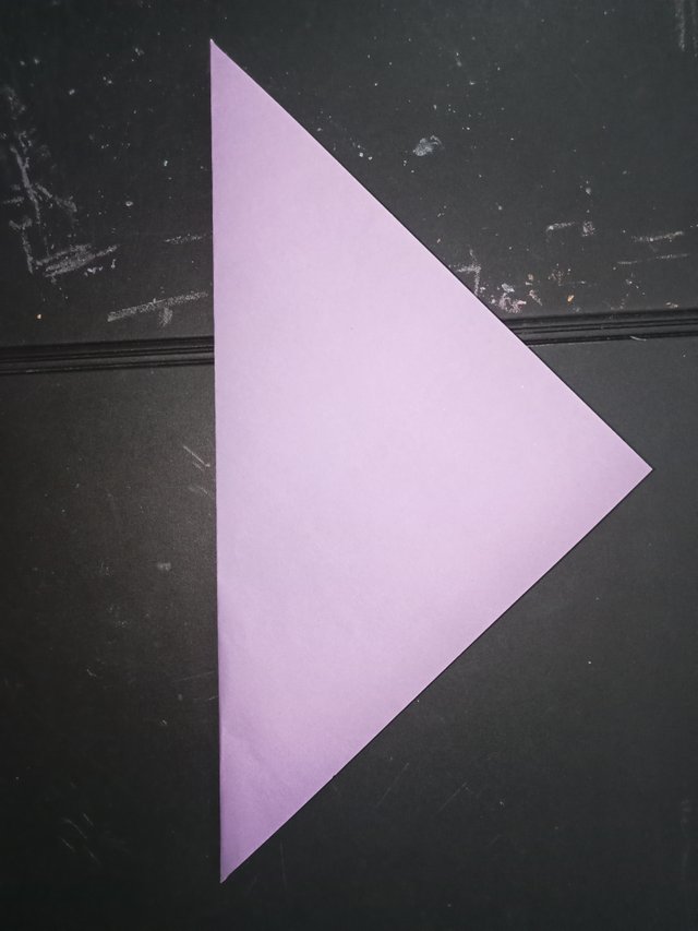 1000029431.jpg