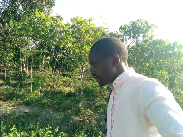 IMG_20201122_162812.jpg