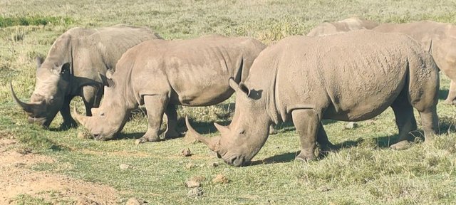 Best 9 Tanzania Safari Tour Packages Now.jpg