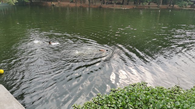 IMG_20240608_162102.jpg