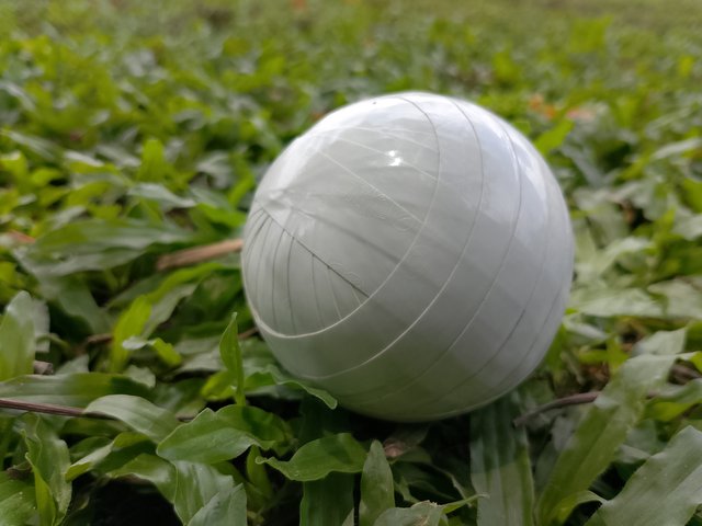 1000043800.jpg
