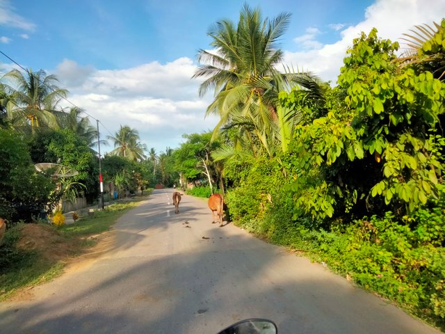 IMG20250721170422.jpg