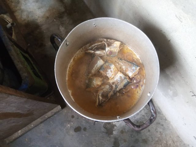 IMG-20250919-WA0010.jpg