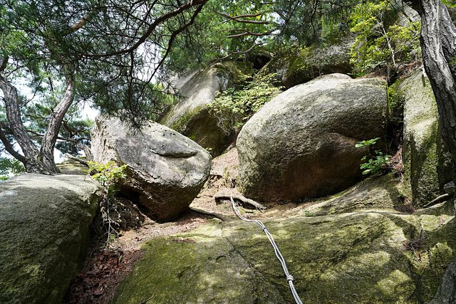 b-250723-075540.jpg