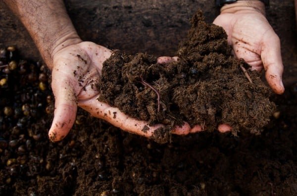 Organic Manure Manufacturing Plant.jpg