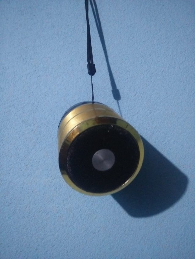 1000044010.jpg