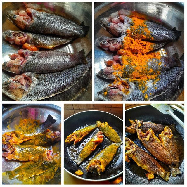PhotoCollage_1681389921756-01.jpeg