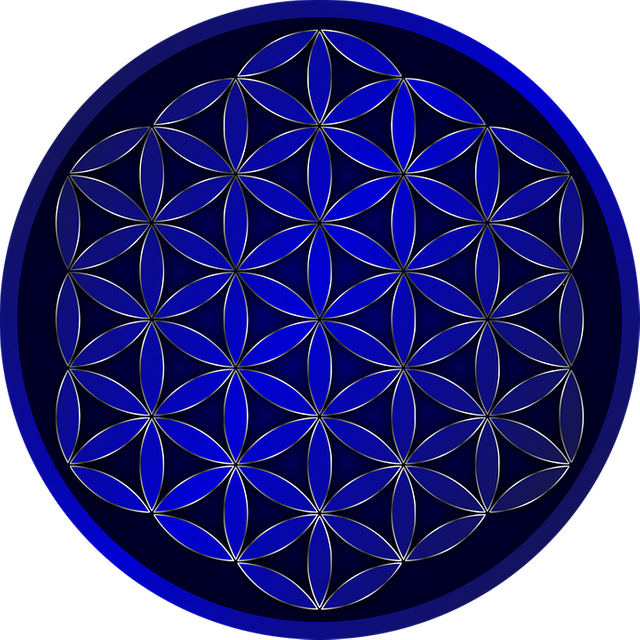 flower-of-life-2533119_960_720.png