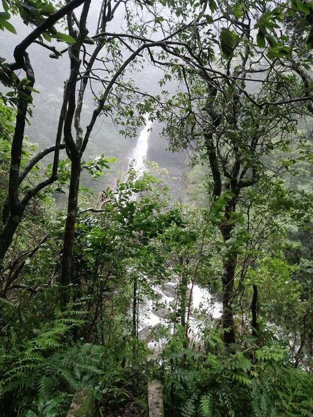 water falls sripadha kanda.jpg