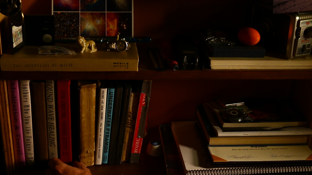 Lion Suit - Still Tony's Bookcase.png