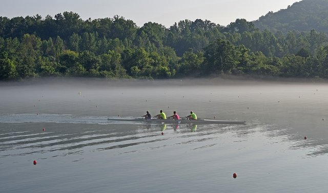 scull-rowing-in-fog-2532504_960_720.jpg