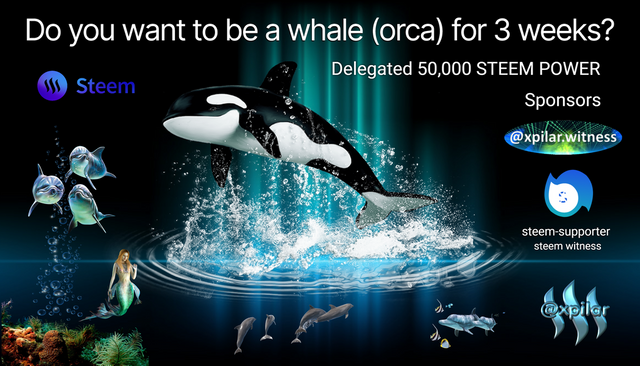 to be a whale orca for 3 weeks.png