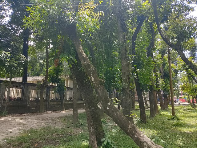 1000044550.jpg