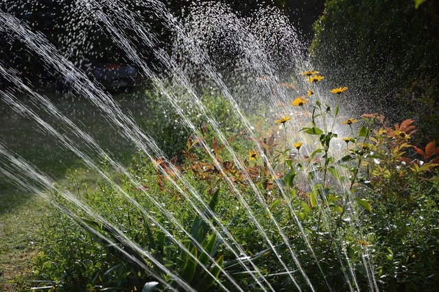 garden-3664278_1280.jpg