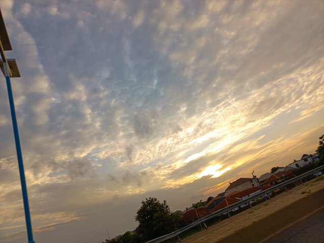 1000639282.jpg