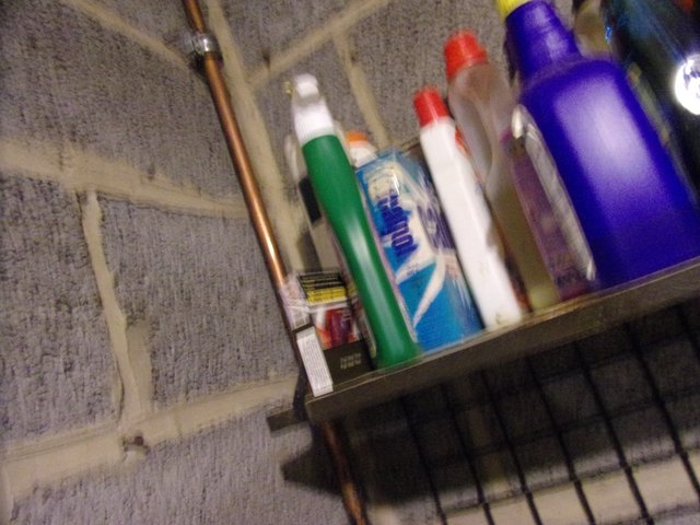 100_2713.JPG