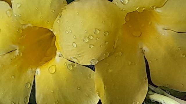 20250806_150504.jpg