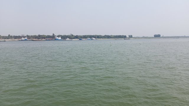 IMG_20250308_121514_0.jpg