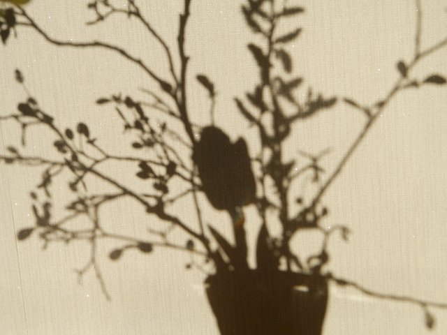 P4300013.JPG