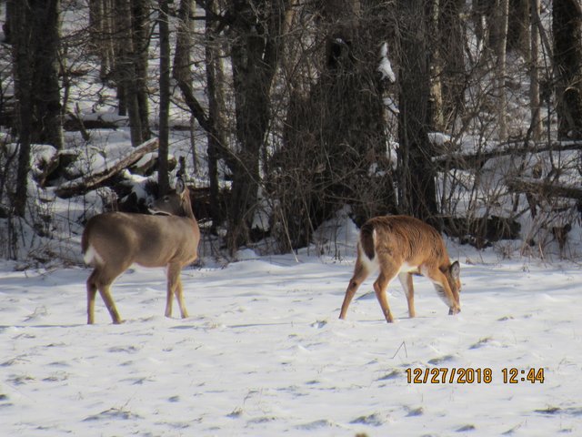 IMG_0174.JPG