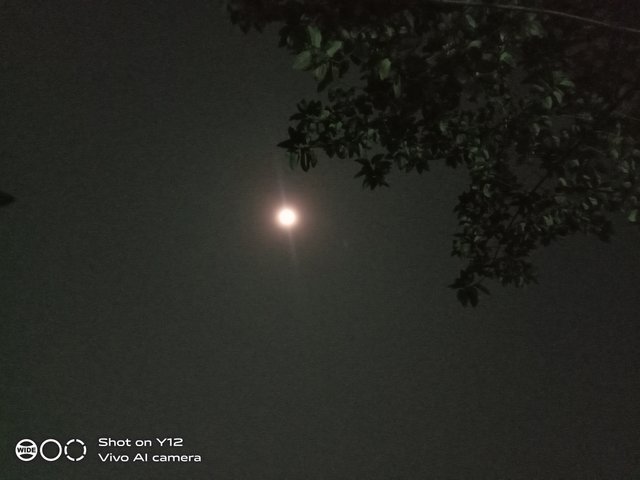IMG_20250511_223842.jpg