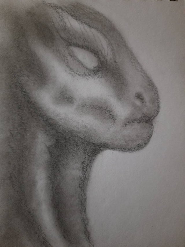 20250419_110716.jpg